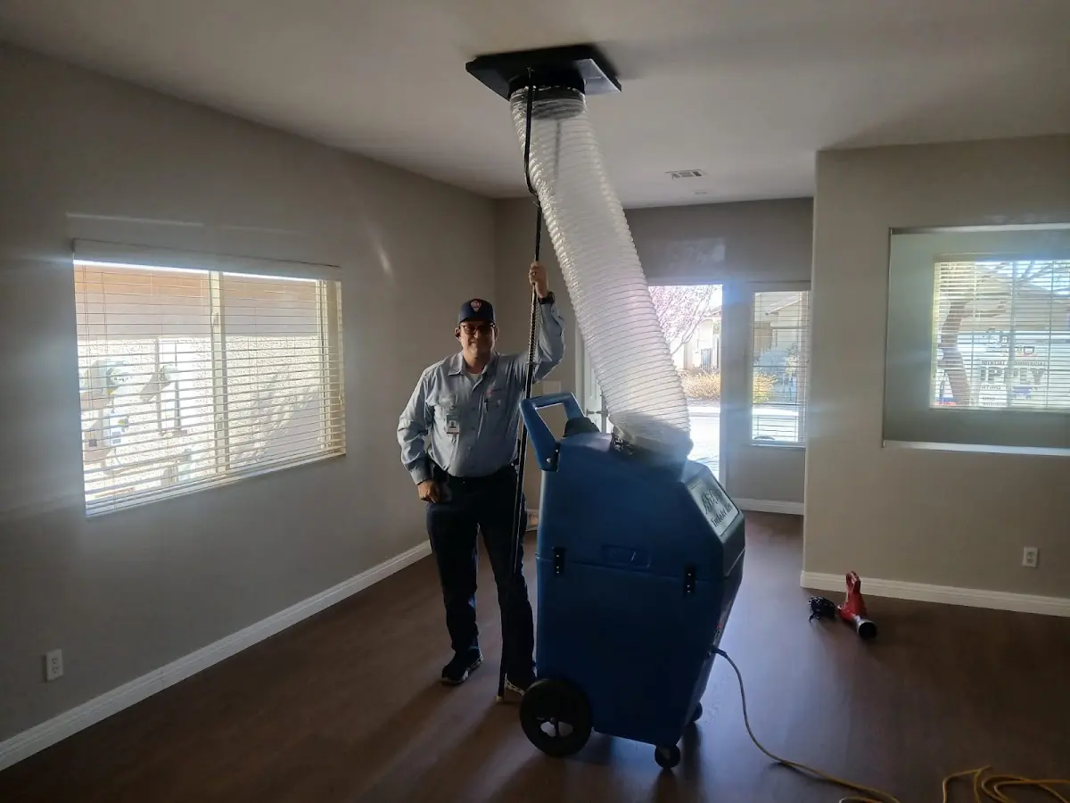 Professional Dryer Vent Cleaning work inside a Ives Estates home